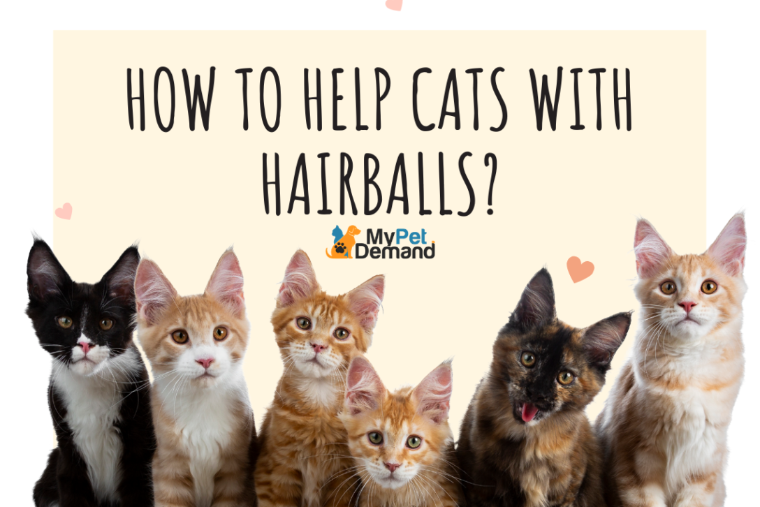 how to help cats with hairballs
