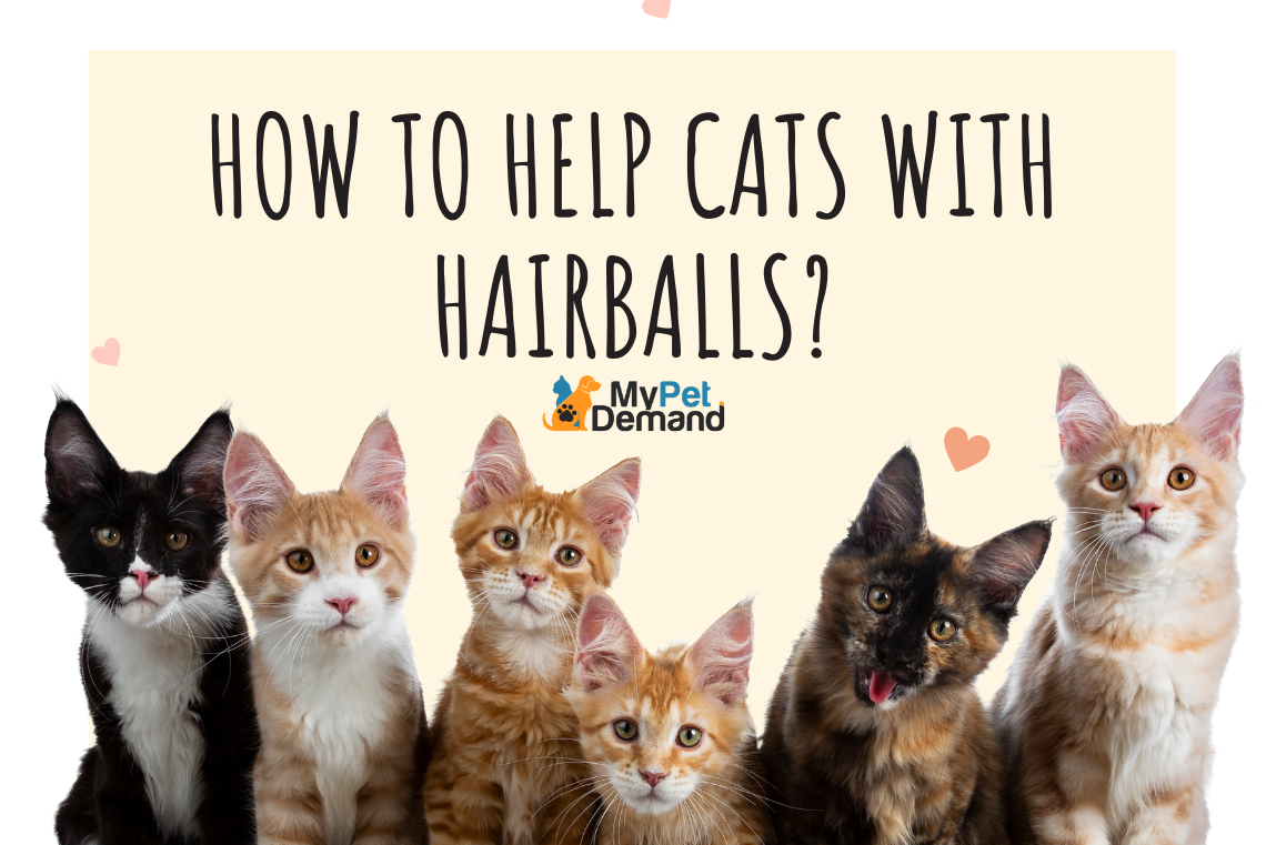 How to Help Cats With Hairballs?